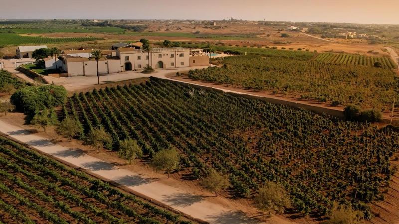 Wine hotel - Agriturismo Baglio Donnafranca Wine Resort
