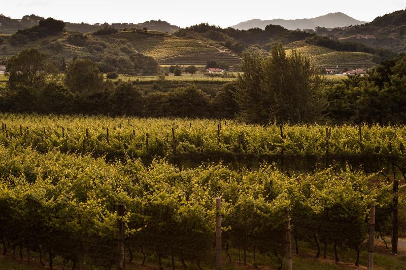 Hotel for Adults only - Agriturismo I Comelli