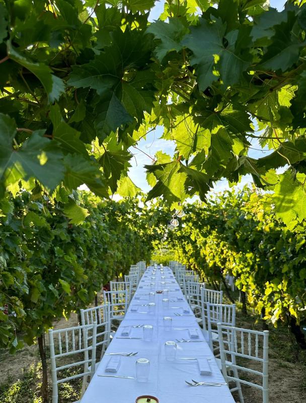 Agriturismo Oasi Biologica photo 2