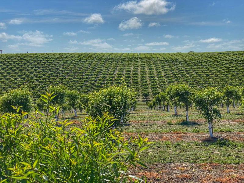 Hotel for Adults only - Agriturismo Piani Della Marina