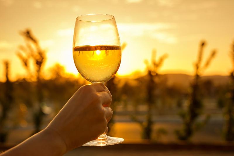 Winery Hotel - Allegretto Vineyard Resort Paso Robles