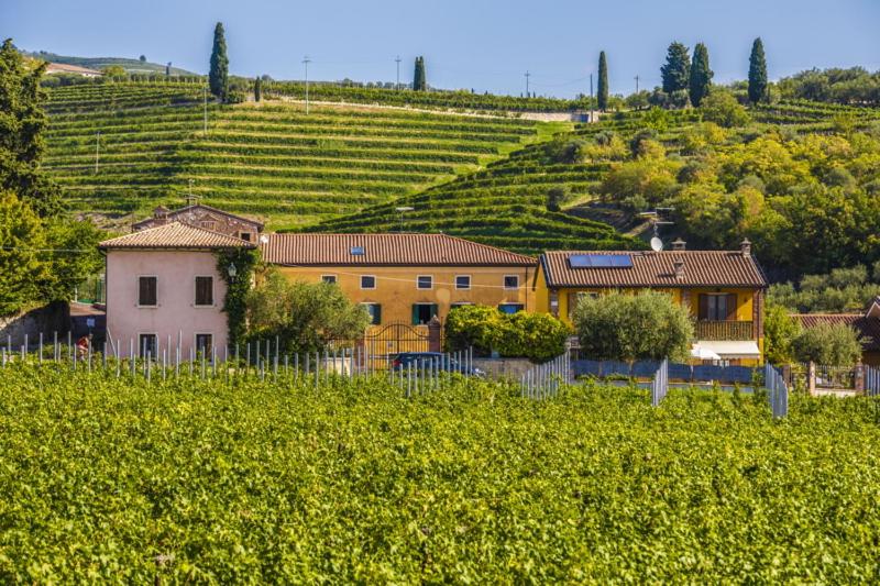 Wine hotel - B&B Ca' Bernai