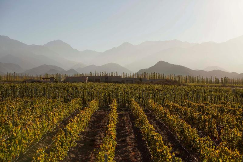 Hotel for Adults only - Bodega Alpasión Lodge y Glamping