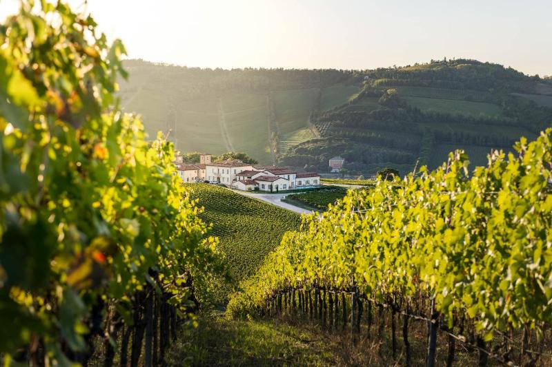 Borgo Conde Wine Resort photo 4