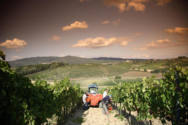 Boutique Wine Resort - Villa Dianella photo 3