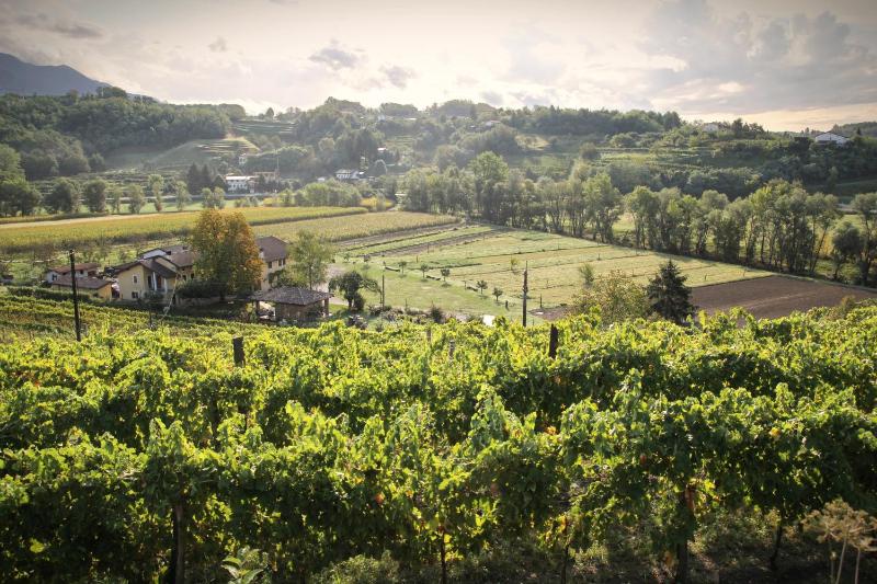 BRIC Wine & Relax photo 2