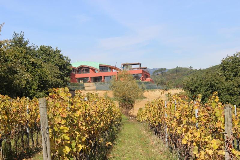 Winery Hotel - Buonamico Wine Resort