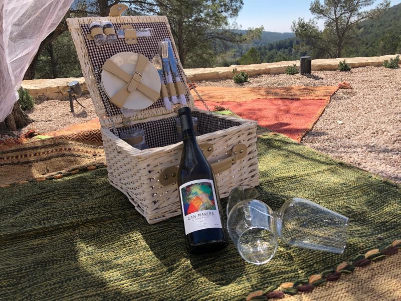 CAL PUIG, ENOTURISMO RURAL entre Viñas y Bosques