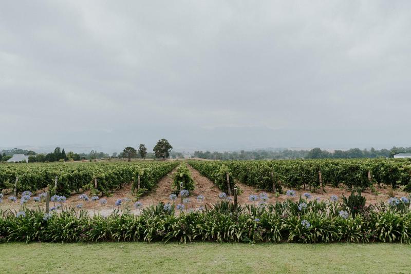 Cana Vineyard Guesthouse