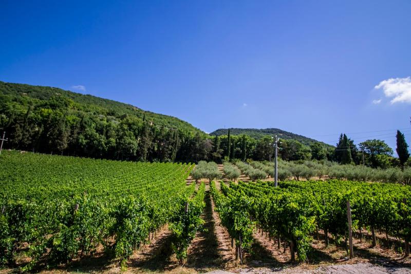 Cantina Semonte Wine Resort