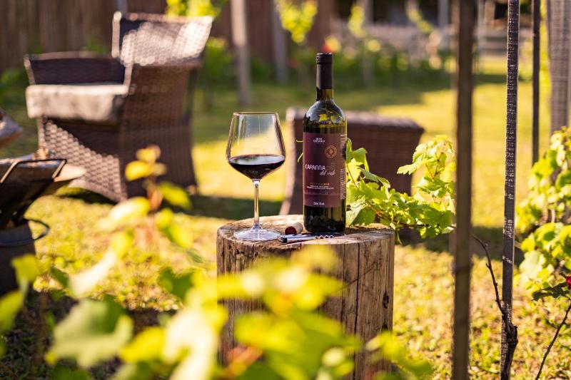 Winery Hotel - Capanna del Vale