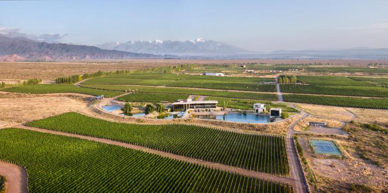 Hotel for Adults only - Casa de Uco Vineyards and Wine Resort