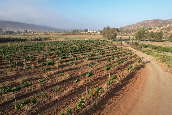 Winery Hotel - Casa Luna Viñedo