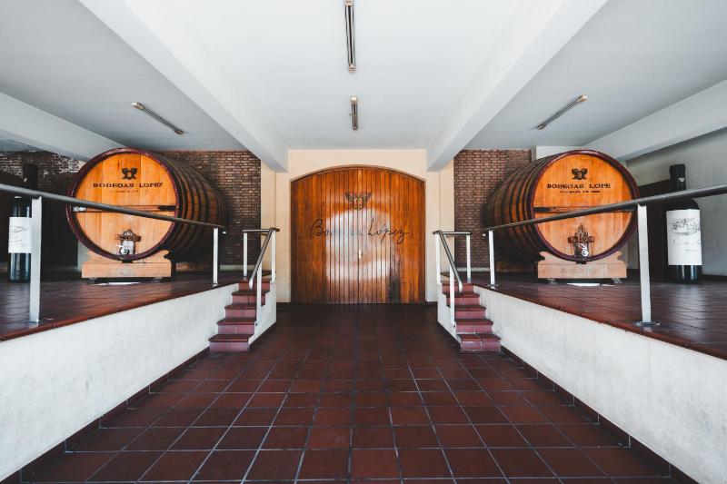 Chateau Montchenot