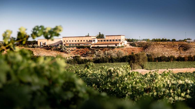 Hotel for Adults only - Complejo Enoturístico Finca La Estacada