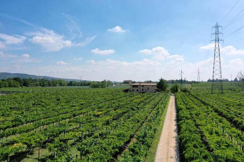 Wine hotel - Corte Odorico