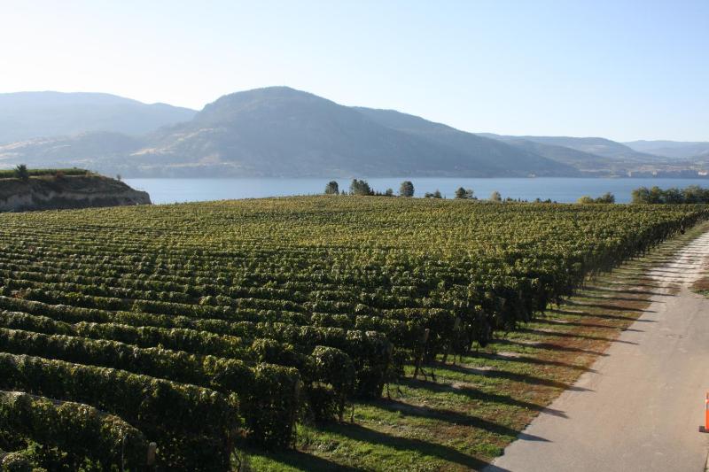 D'Angelo Winery Farm House photo 3