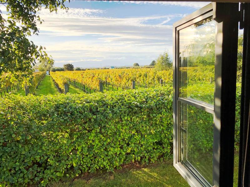 Wine hotel - Dara Vineyard Cottage