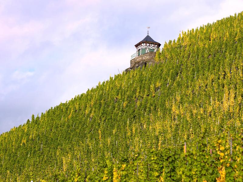 Winery Hotel - DEINHARD's