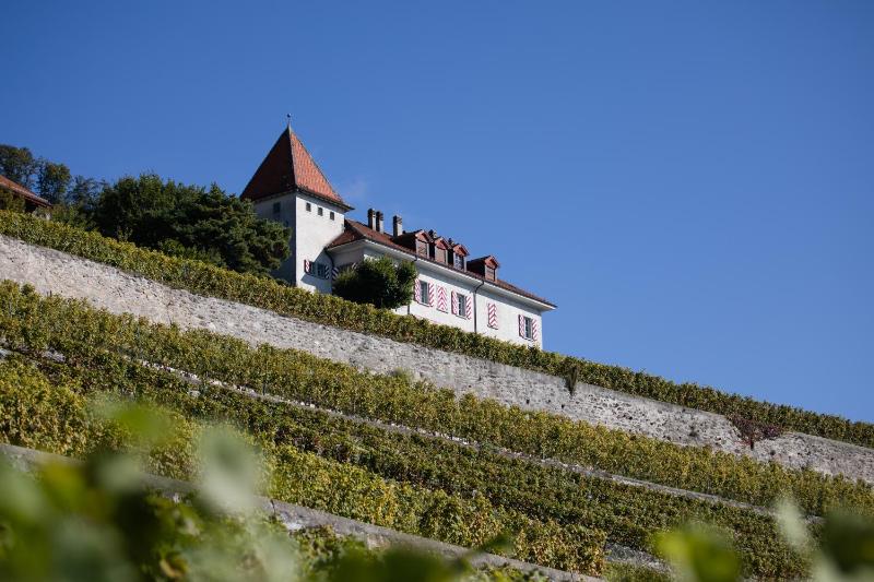 Wine hotel - Domaine du Burignon