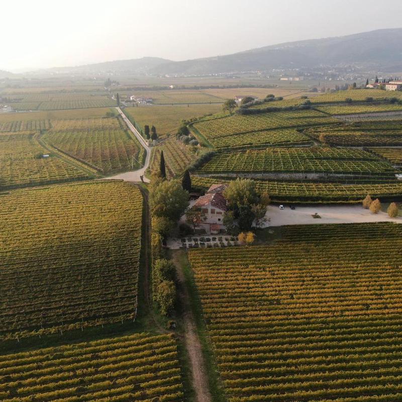 Domus Cariana photo 2