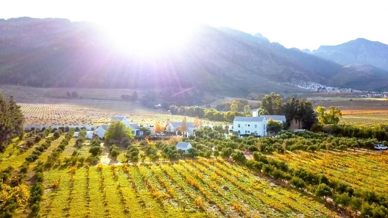 Wine hotel - Droom Guesthouse
