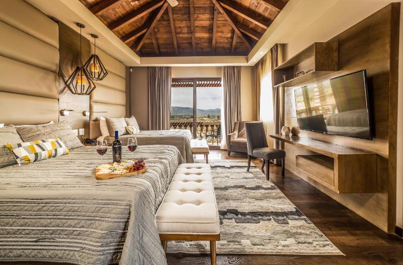 Winery Hotel - El Cielo Resort