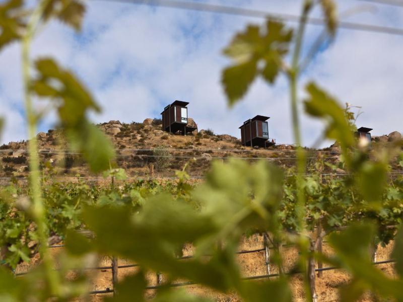 Hotel for Adults only - Encuentro Guadalupe