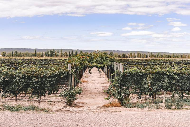 Hotel for Adults only - Enlace Wine House