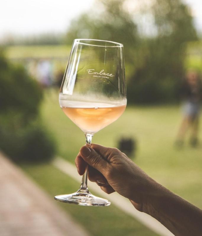 Winery Hotel - Enlace Wine House