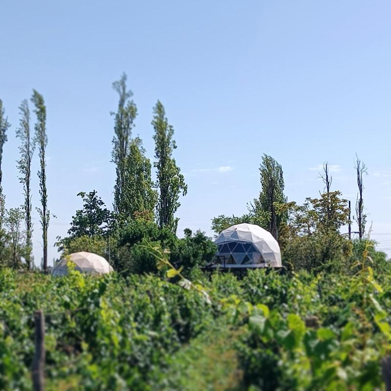 Hotel for Adults only - Entre racimos, glamping entre viñedos en bodega