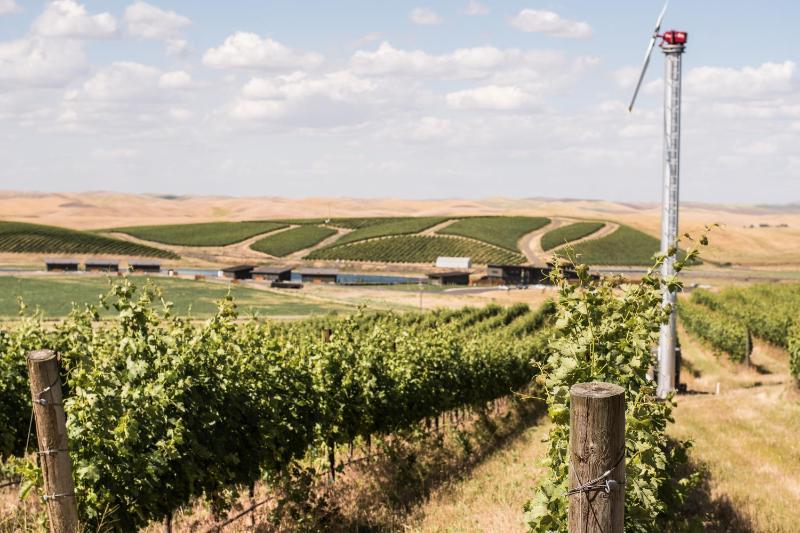 Winery Hotel - Eritage Resort