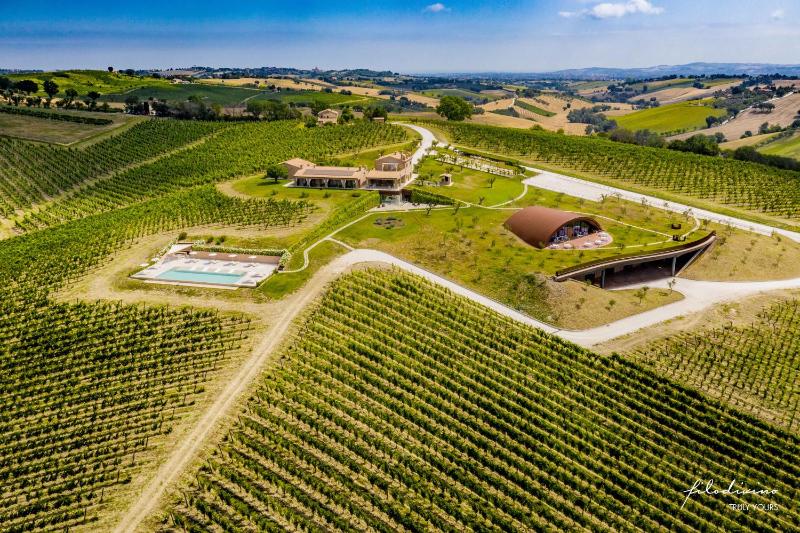 Wine hotel - Filodivino Wine Resort & SPA
