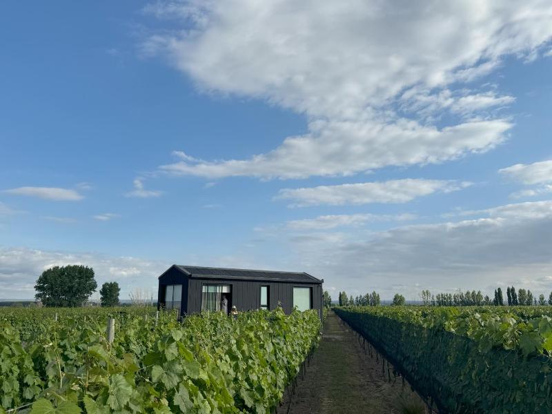 Wine hotel - Finca Boutique Un Buen Año