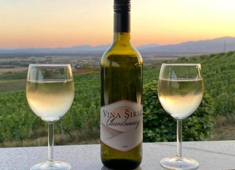 Wine hotel - Guesthouse Prenočišča Širec