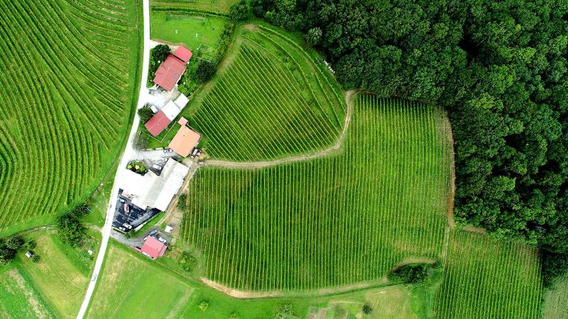 Guesthouse Prenočišča Širec photo 2