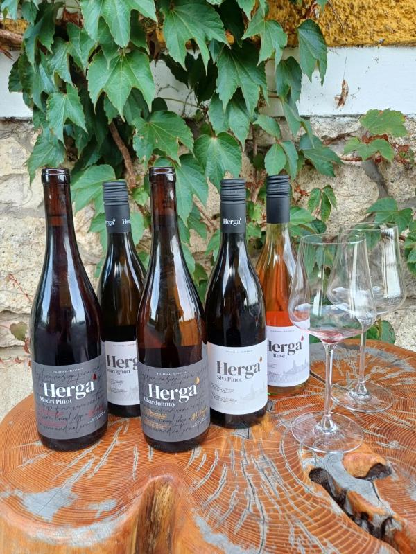 Herga Wine Estate photo 4