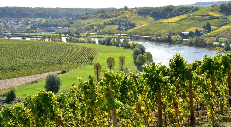 Winery Hotel - Hotel de l'Ecluse Superior