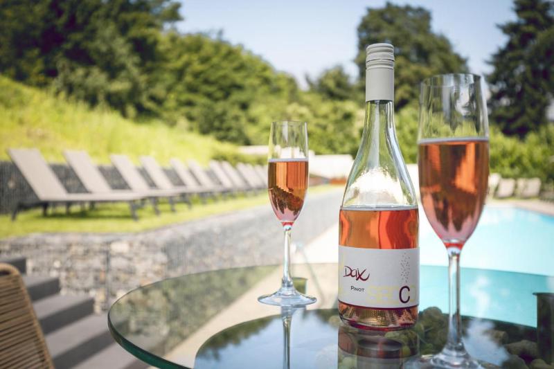 Hotel for Adults only - Hotel Halfenstube & Villa Spa 1894