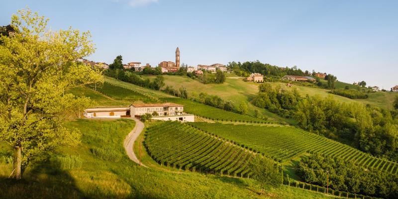 iCOLLIROSSI Agriturismo photo 3