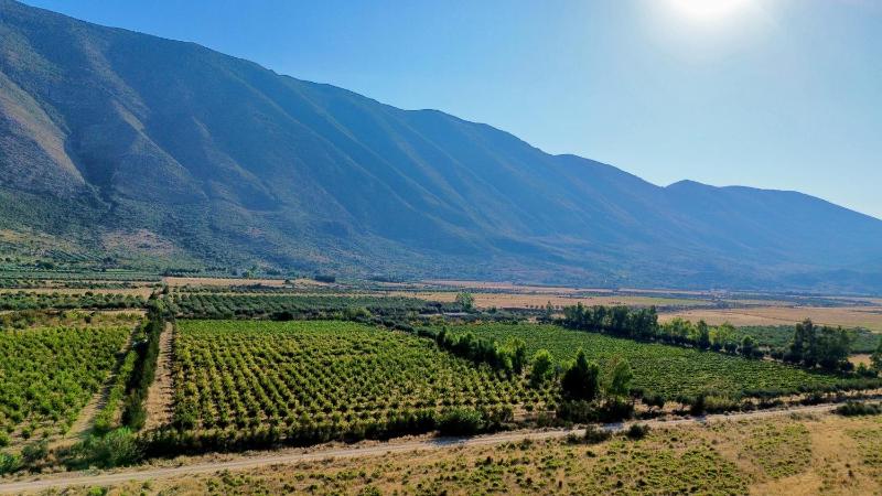 Kantina & Ferma Dukat photo 3