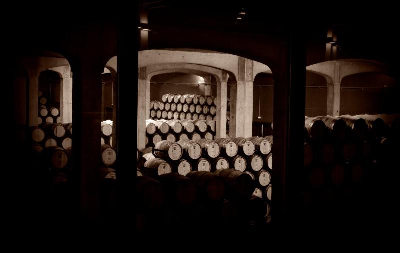 Winery Hotel - La Posada de Pradorey