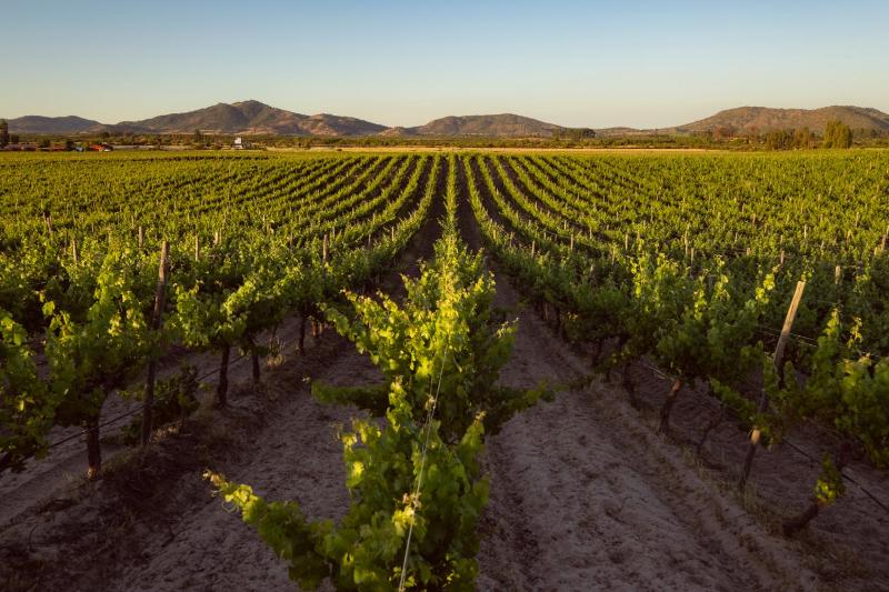 Hotel for Adults only - La Sirca Boutique Winery Cabins