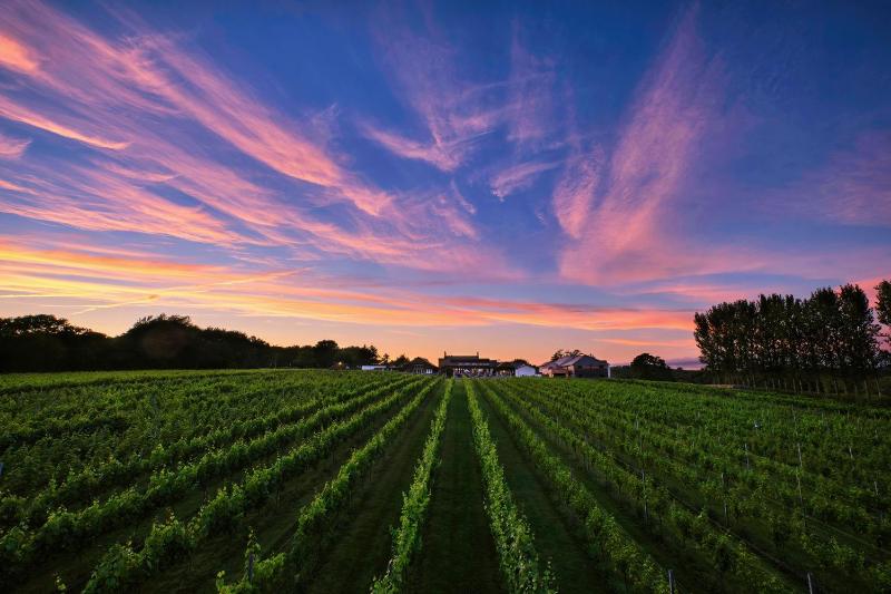 Hotel for Adults only - Llanerch Vineyard Hotel