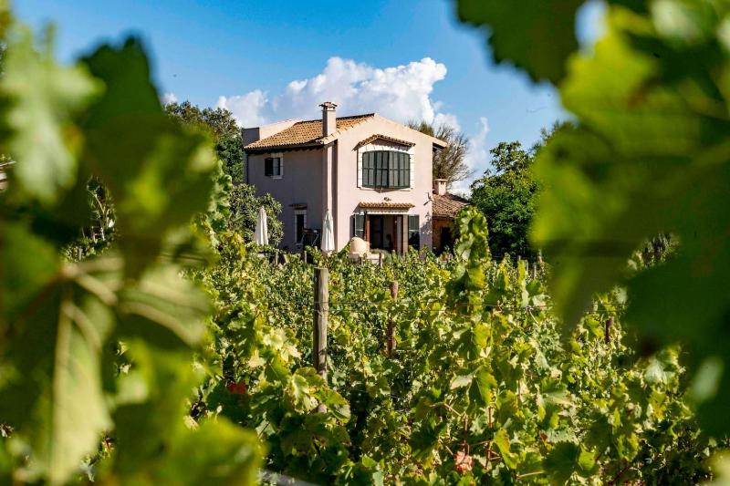 Hotel for Adults only - Los Dos Caballeros Winery