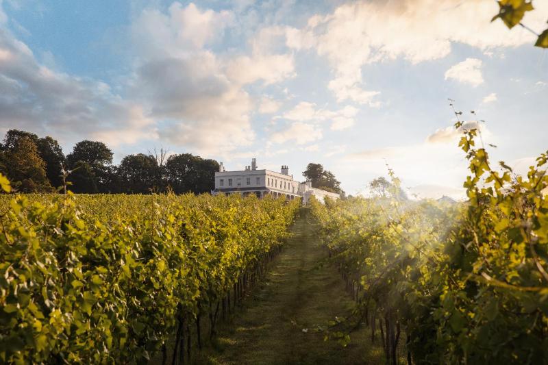 Hotel for Adults only - Lympstone Manor Hotel Restaurant & Vineyard - Relais & Chateaux