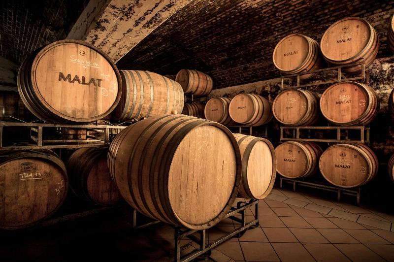 MALAT Weingut und Hotel photo 3