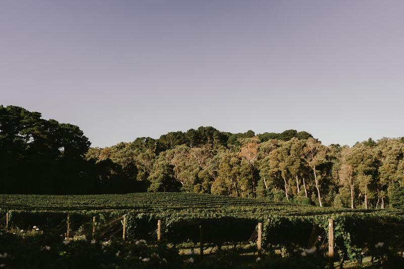 Wine hotel - Mantons Creek Estate