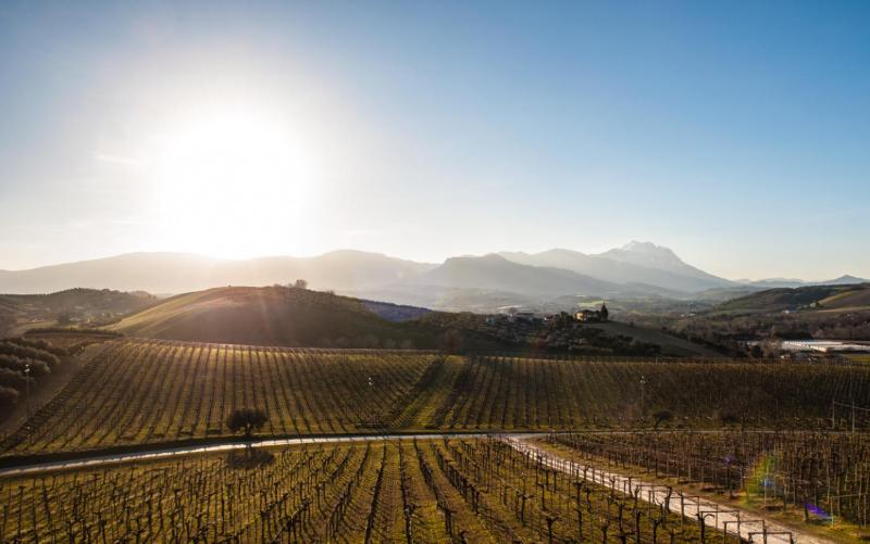 Wine hotel - Masseria del Vino - Ciavolich Wine Relais