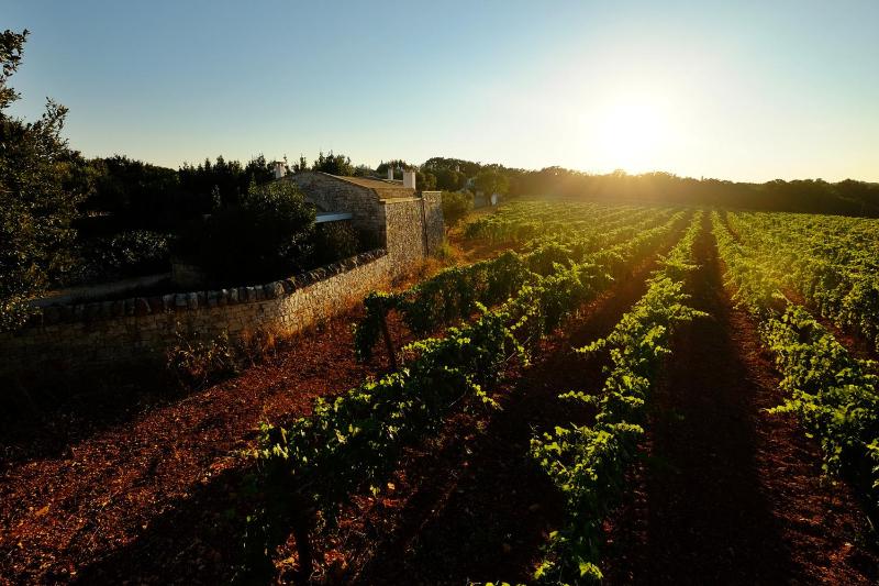 Masseria Trulli e Vigne